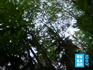 2 girls sucking cock in a forest